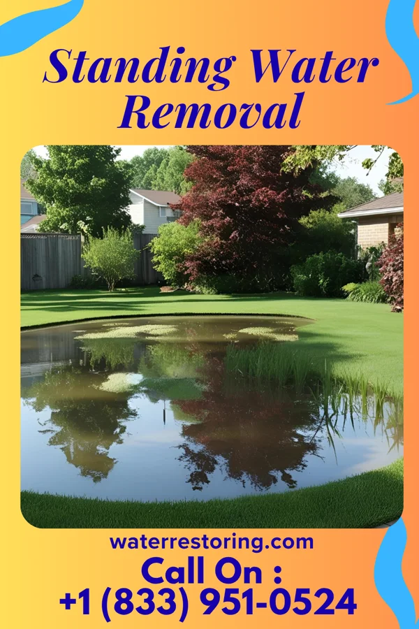 Standing Water Removal in Edgerton, KS